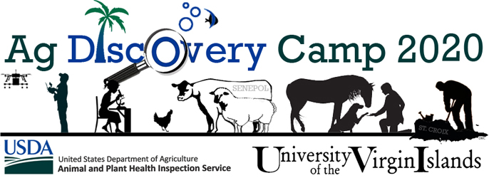 AgDiscovery Camp 2020